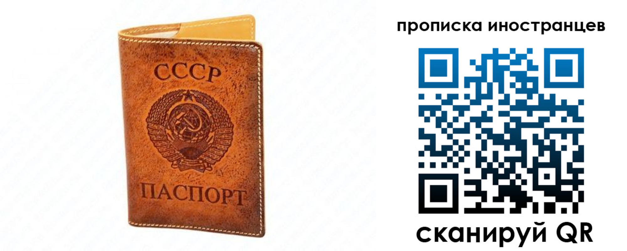 прописка для школы в Орловской области